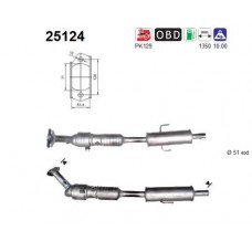 25124 AS Катализатор