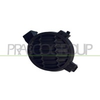 DS0121250 PRASCO Облицювання протитуманна фара