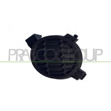 DS0121250 PRASCO Облицювання протитуманна фара