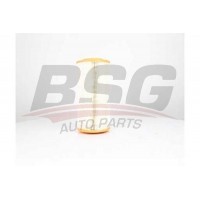 BSG 25-135-001 BSG Повітряний фільтр