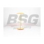 BSG 25-135-001 BSG Повітряний фільтр