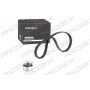307T0052 RIDEX Комплект ременя ГРМ