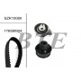 SZK10080 BTE Комплект ременя ГРМ