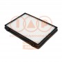 821-20090 IAP QUALITY PARTS Фільтр повітря у внутрішньому просторі