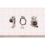 WP6124 FAI AutoParts Водяний насос охолодження двигуна