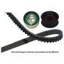 DKT-6519 KAVO PARTS Комплект ременя ГРМ