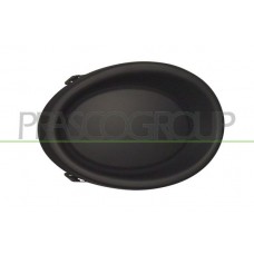 DS7131249 PRASCO Облицювання протитуманна фара