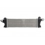 Интеркулер THERMOTEC DAR019TT