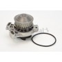 WP6062 CONTINENTAL CTAM Водяний насос охолодження двигуна