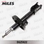DG21422 MILES Амортизатор