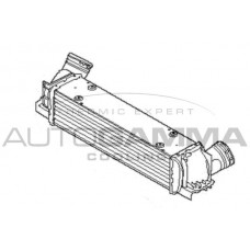 Интеркулер AUTOGAMMA 107334
