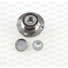 HBK5262.02 OPEN PARTS Комплект підшипника ступиці колеса