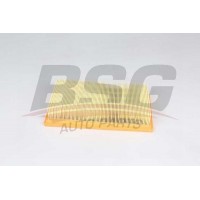 BSG 30-135-029 BSG Повітряний фільтр
