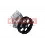 T0266 KAMOKA Водяний насос охолодження двигуна