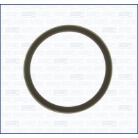 00975700 AJUSA Прокладка, термостат
