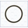 00975700 AJUSA Прокладка, термостат