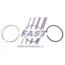 FT47388/0 FAST Комплект поршневих кілець