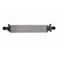DAM017TT THERMOTEC Интеркулер