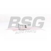 BSG 90-130-015 BSG Паливний фільтр