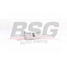 BSG 90-130-015 BSG Паливний фільтр