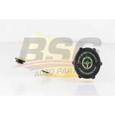 BSG 30-725-081 BSG Компенсационный бак, ГАЛЬМІВНА РІДИНА