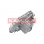 T0144 KAMOKA Водяний насос охолодження двигуна
