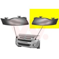 0905511 VAN WEZEL Решітка радіатора