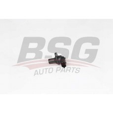 BSG 60-840-060 BSG Датчик поло жіння розподільного валу
