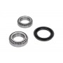 WBK-6523 KAVO PARTS Комплект підшипника ступиці колеса