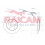 RD01101 RAICAM Гальмівний диск