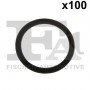 076.553.100 FA1 Ущільнювальне кільце, компрессор