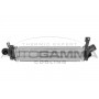 Интеркулер AUTOGAMMA 107851