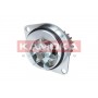 T0080 KAMOKA Водяний насос охолодження двигуна