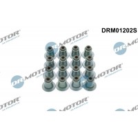 DRM01202S Dr.Motor Automotive Комплект прокладок, стержень клапана