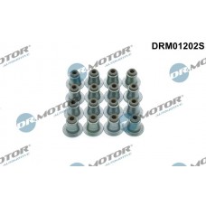 DRM01202S Dr.Motor Automotive Комплект прокладок, стержень клапана