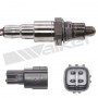 250-241251 WALKER PRODUCTS датчик кисню