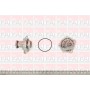 WP6104 FAI AutoParts Водяний насос охолодження двигуна