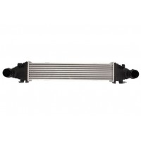 DAM025TT THERMOTEC Интеркулер