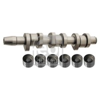33017 FEBI BILSTEIN Комплект розподільного валу