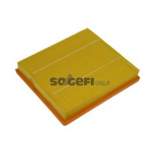 CA10685 FRAM Повітряний фільтр