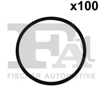 076.572.100 FA1 Ущільнювальне кільце, компрессор