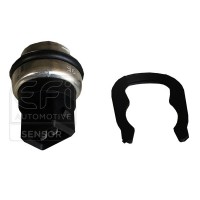 295127 EFI AUTOMOTIVE Датчик температура охолоджувальної рідини