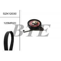 SZK12030 BTE Комплект ременя ГРМ