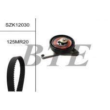 SZK12030 BTE Комплект ременя ГРМ