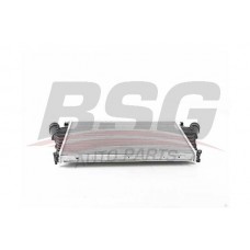 BSG 65-535-008 BSG Интеркулер