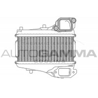 Интеркулер AUTOGAMMA 107453