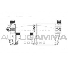 107305 AUTOGAMMA Интеркулер