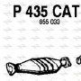 P435CAT FENNO Катализатор