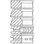 WG1187223 WILMINK GROUP Комплект поршневих кілець