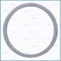 WG2082278 WILMINK GROUP Ущільнювальне кільце, Різьбова пробка маслосливн. отверст.